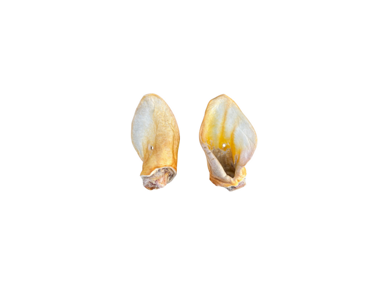 Beef Ear