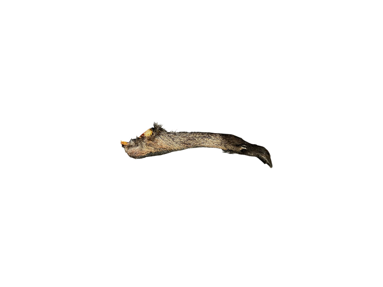 Wallaby Feet Frozen 10Pack