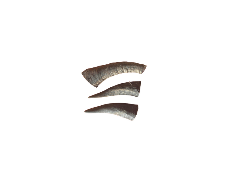 Goat Horn 200g