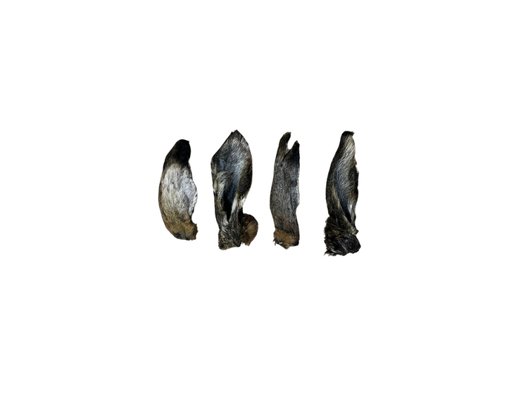 Hare Ears Frozen 20pack