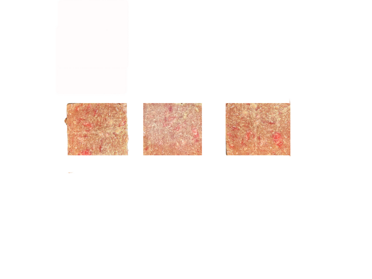 Lamb and Salmon Big Blocks