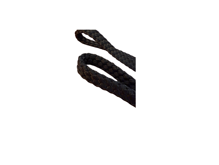 Dog Leads