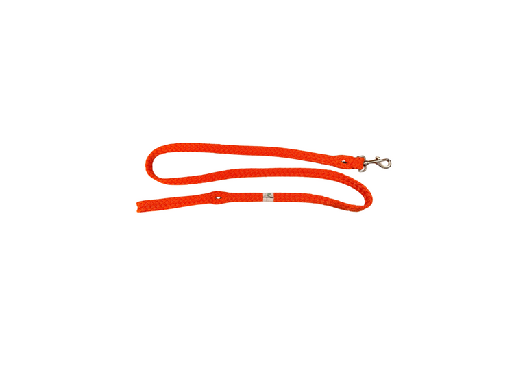 Dog Leads