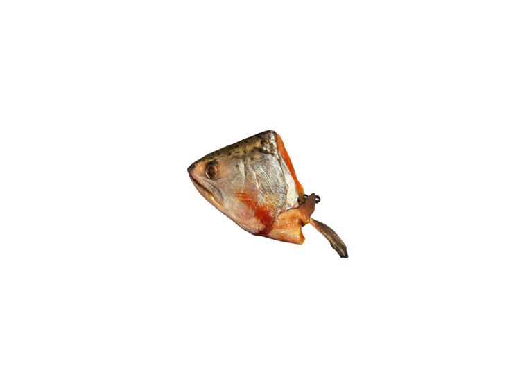 Salmon Heads kg