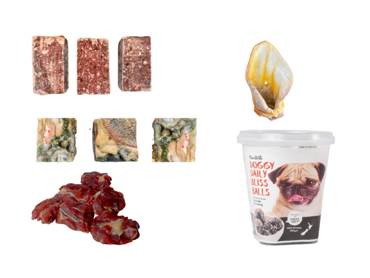 Small - Medium Dog Pack