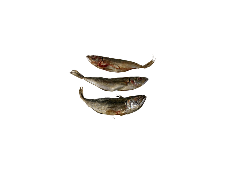 Whole Jack Mackerel 4pack