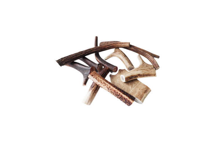 Antler Chews