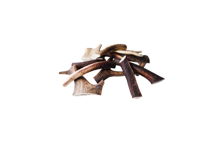 Antler Chews