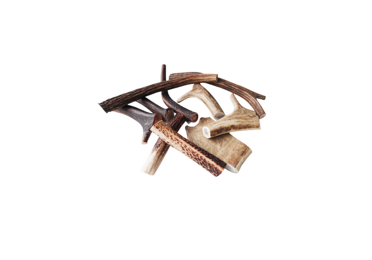 Antler Chews