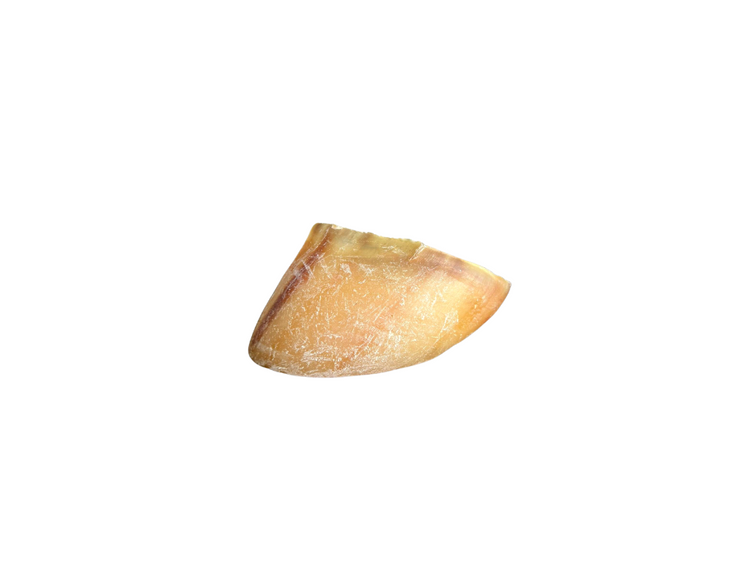 Beef Hoof