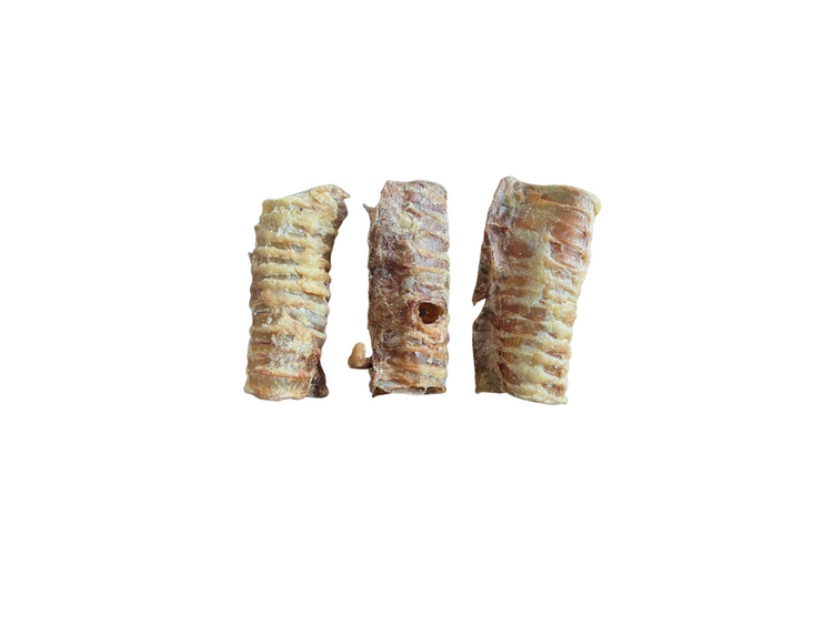 Beef Trachea