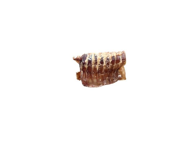 Beef Trachea