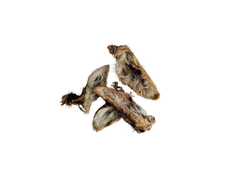 Venison Ears Frozen