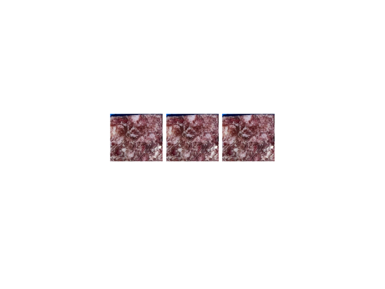 Duck Mince 1kg