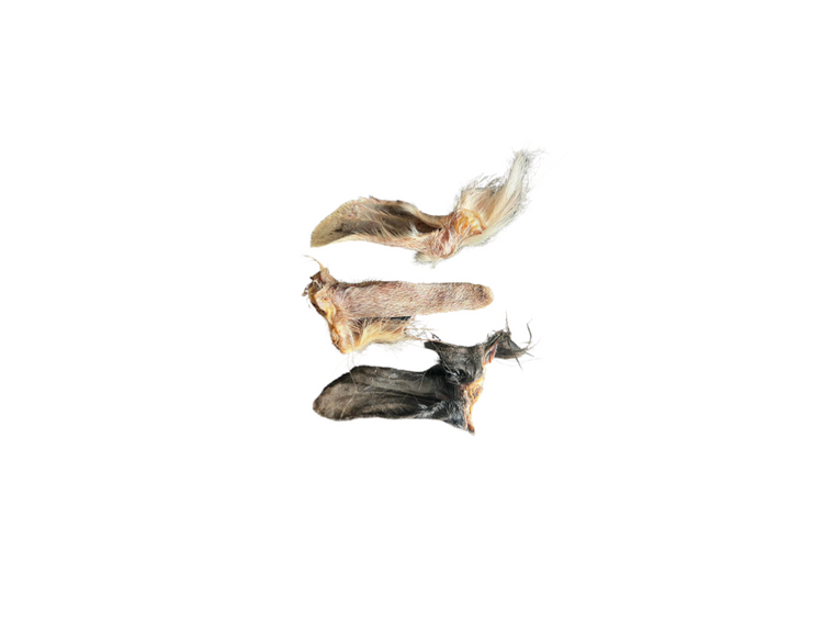 Goat Ear