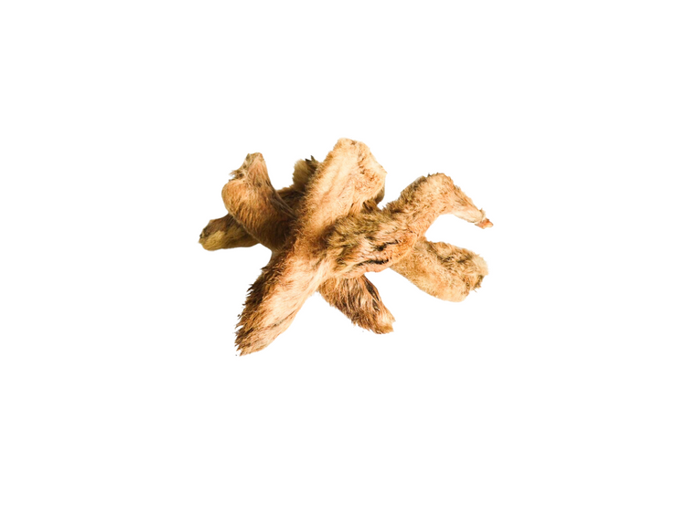 Frozen Hare Feet 20pack