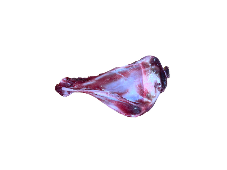 Venison Scapula Frozen