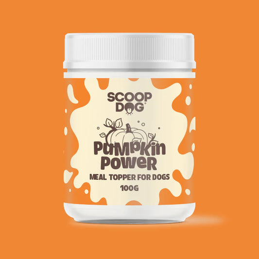 Scoop Dog Pumpkin Power Topper 100g