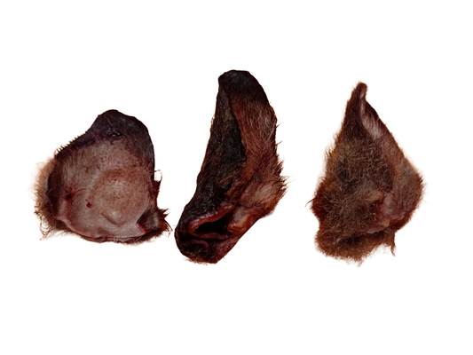 Wallaby Ears Fresh/Frozen 20pk