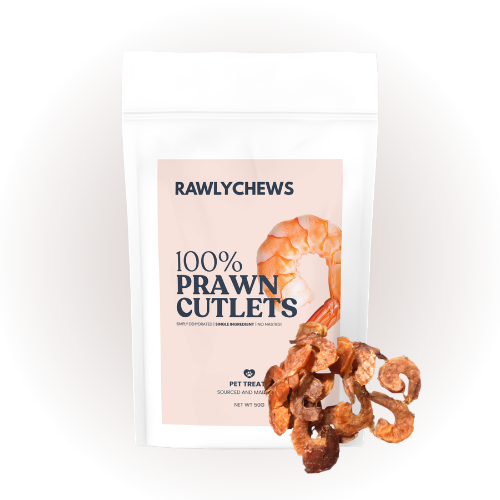 Rawly Chews